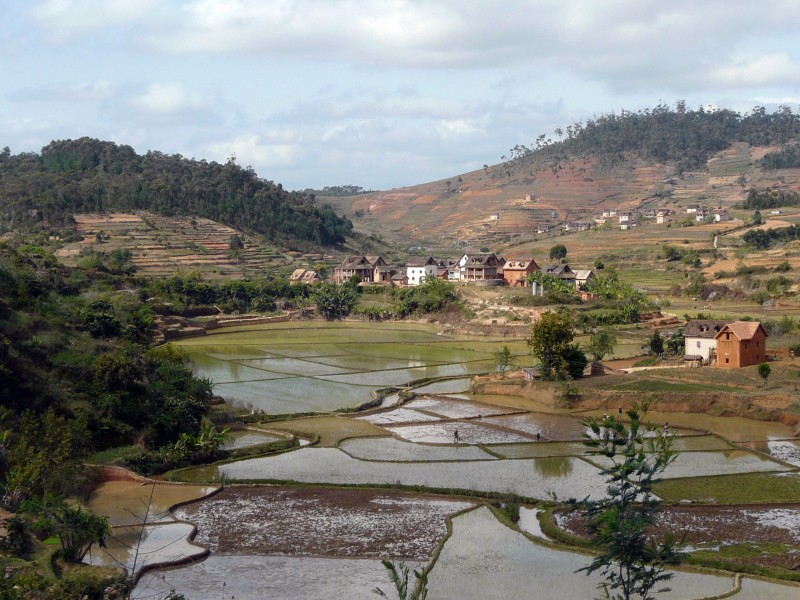 MA08057 copie.jpg